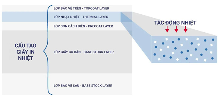 cau tao giay in nhiet