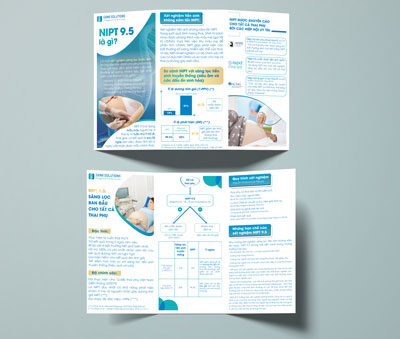 in brochure in tờ gấp 3