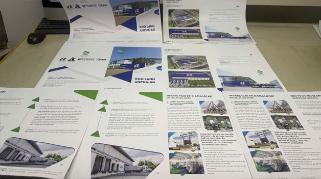 Xưởng in catalogue giá rẻ