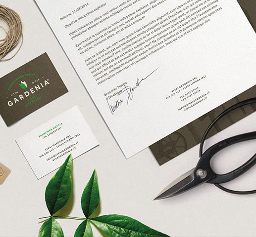 Chuyên viên Thiết kế đồ họa