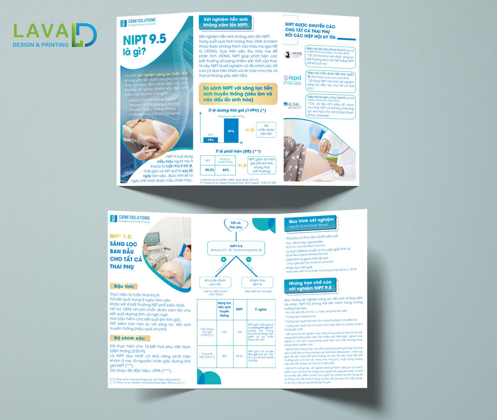 Kích thước thiết kế brochure tờ gấp 3 trifold
