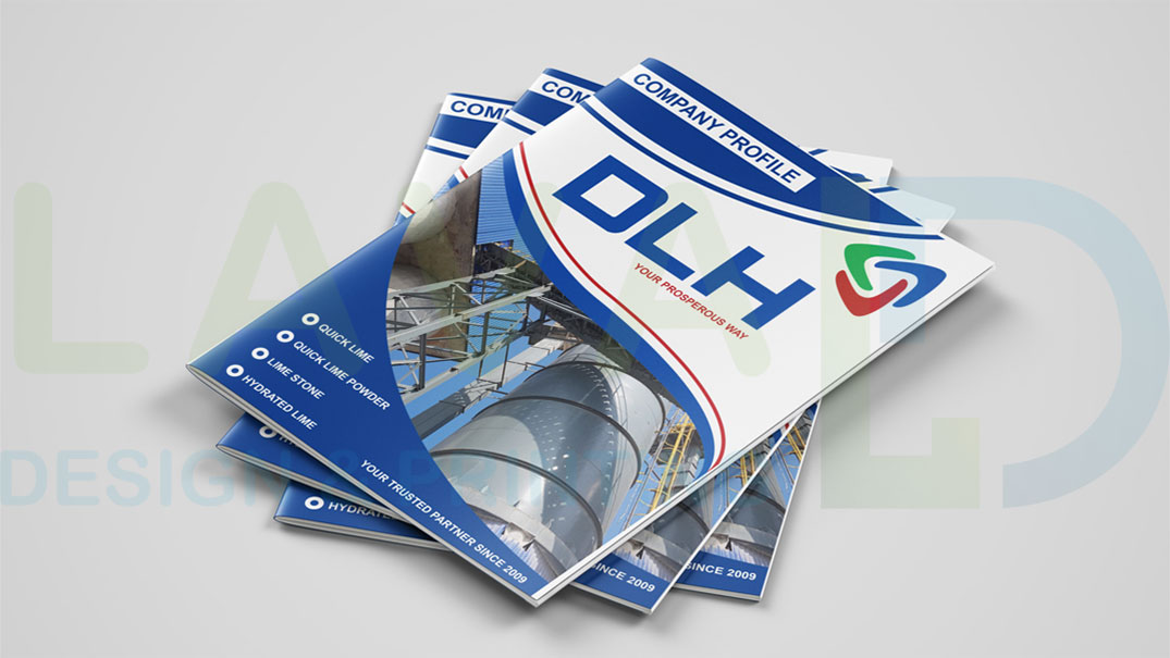 Thiết kế hồ sơ năng lực - profile công ty