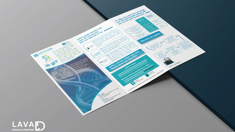 Thiết kế brochure - tờ rơi gấp 3