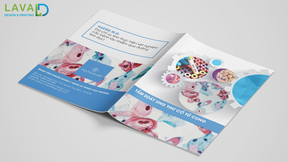 Thiết kế brochure - tờ gấp đôi