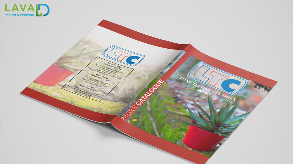 Thiết kế catalogue, làm catalog chuyên nghiệp