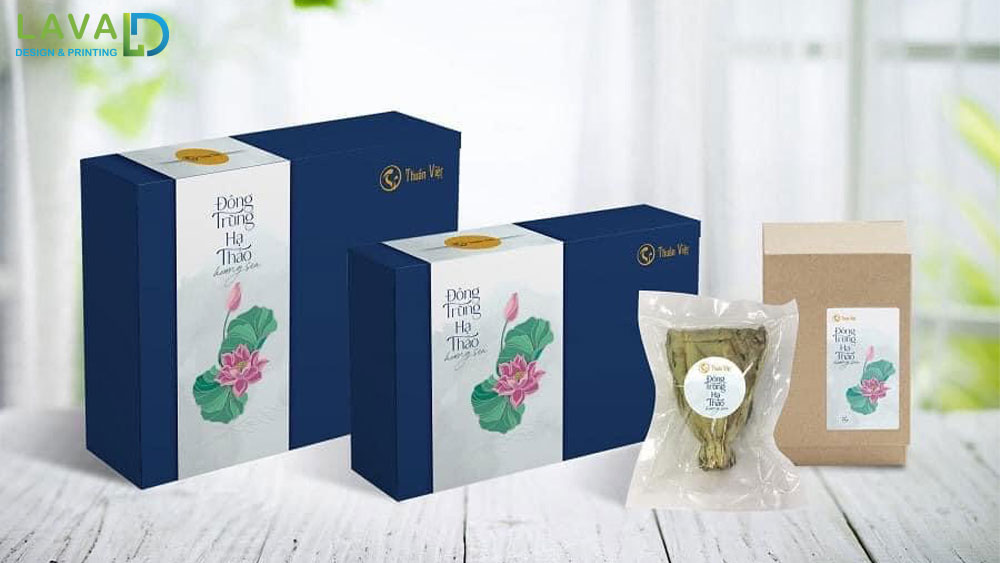 Thiết kế Hộp Giấy